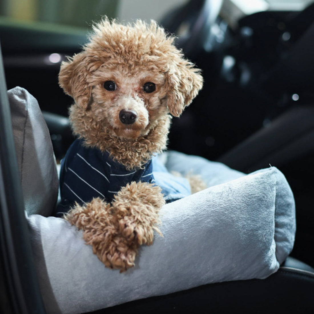 Travel Dog Bed Soft Washable Pet Puppy Cat Car Seat Cushion Comfort Protector--COLOR  Gray-SIZE  55x40x30