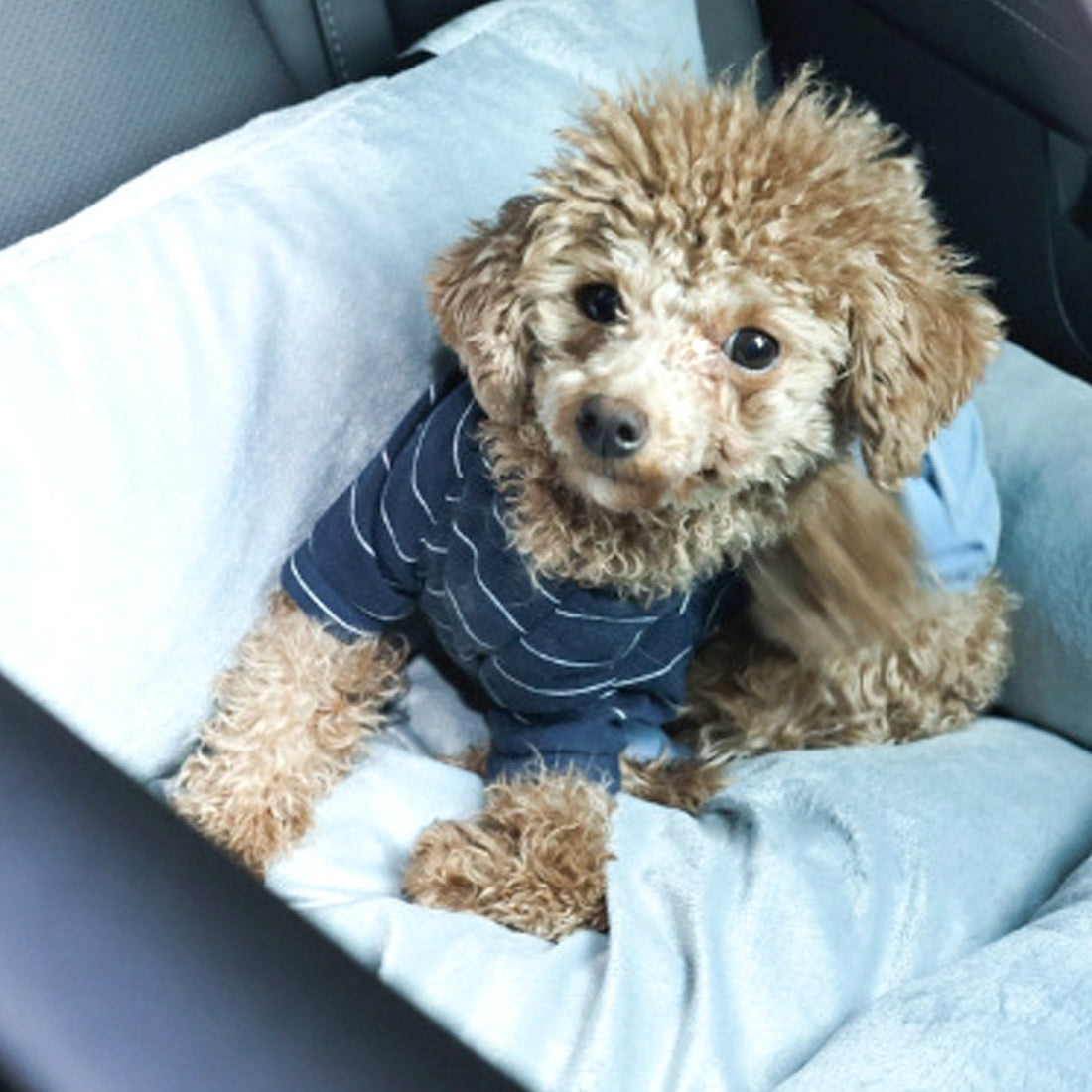 Travel Dog Bed Soft Washable Pet Puppy Cat Car Seat Cushion Comfort Protector--COLOR  Gray-SIZE  55x40x30